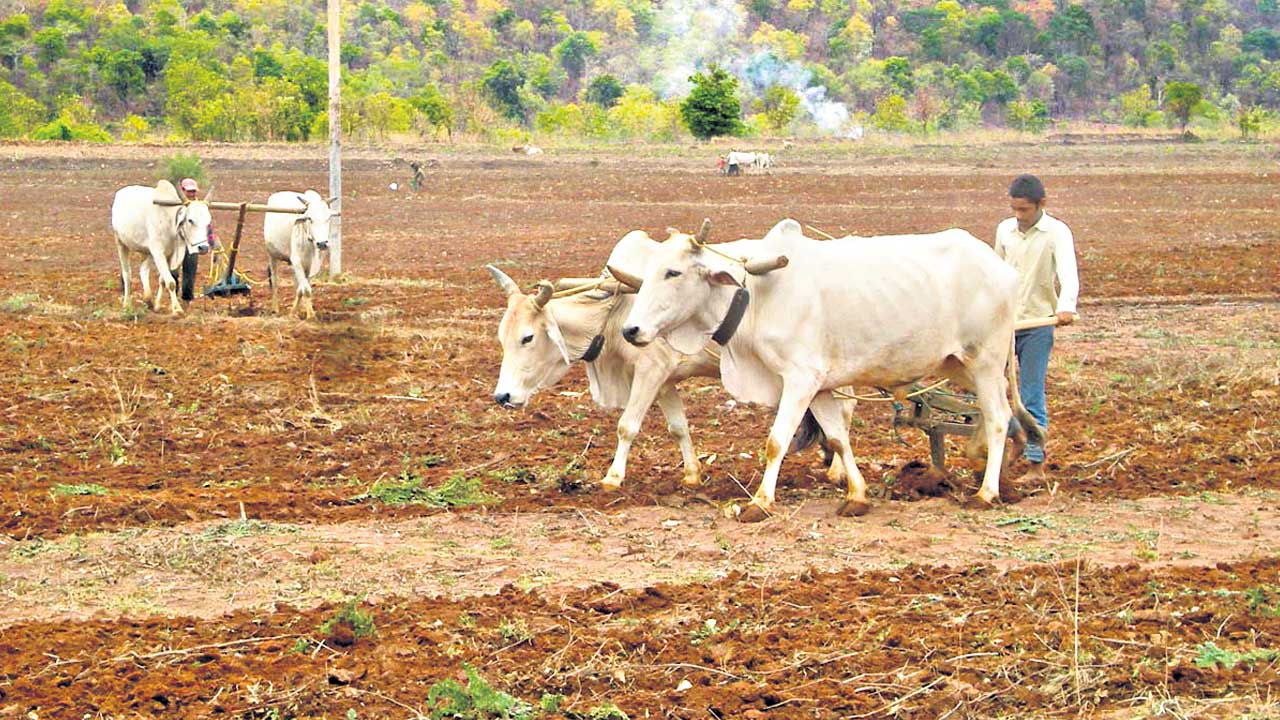 Podu Lands |  మావ జమీన్‌.. మావ పట్టా.. కుమ్రంభీం పుట్టిన గడ్డ నుంచే పోడు భూముల పట్టాల పంపిణీని ప్రారంభించనున్న సీఎం కేసీఆర్‌