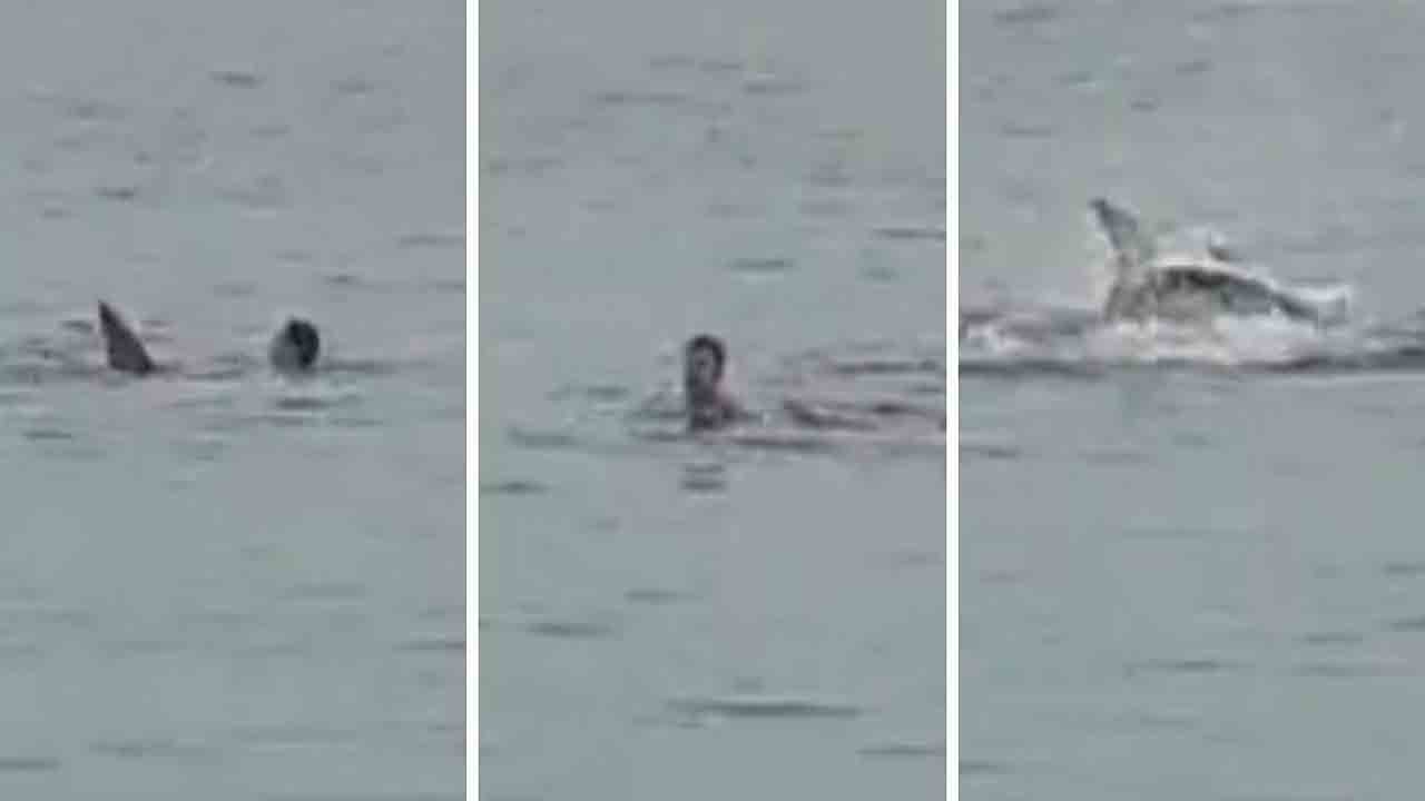 Shark |  బీచ్‌లో ఈతకొడుతున్న యువకుడిపై దాడిచేసిన షార్క్‌.. అంతా చూస్తుండగానే..