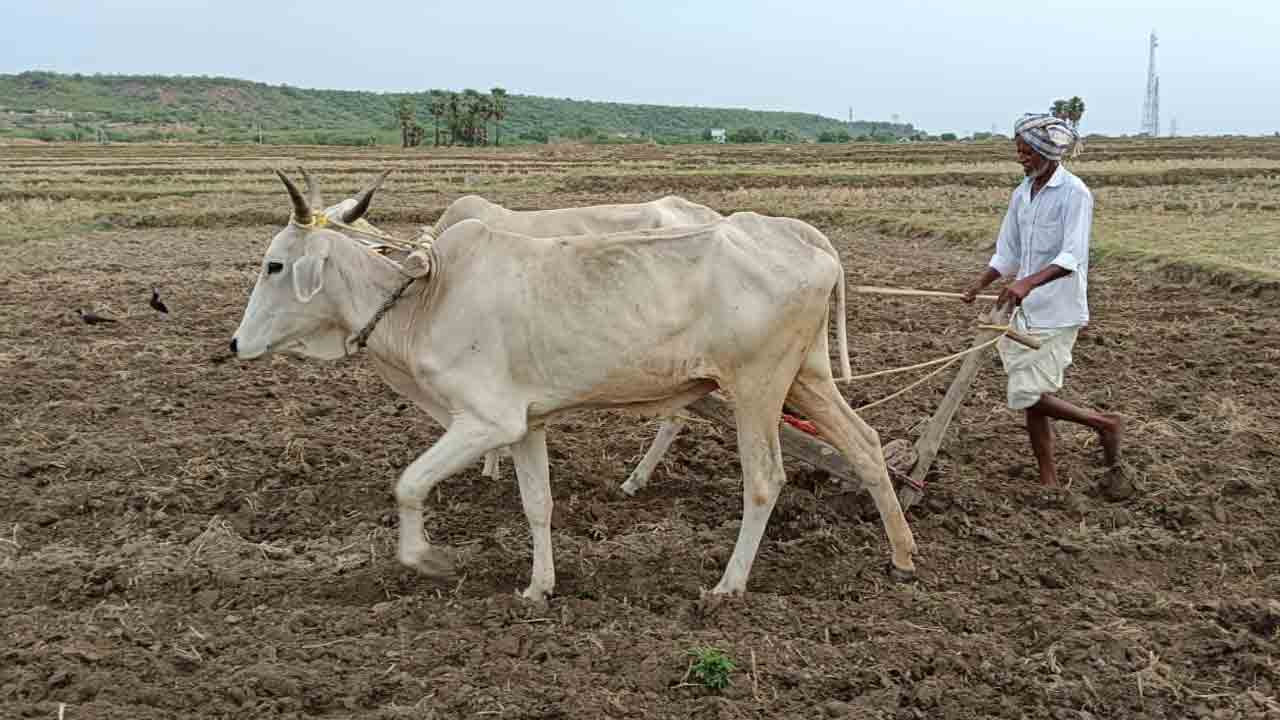 అదును దాటలేదు.. ఆందోళన వద్దు