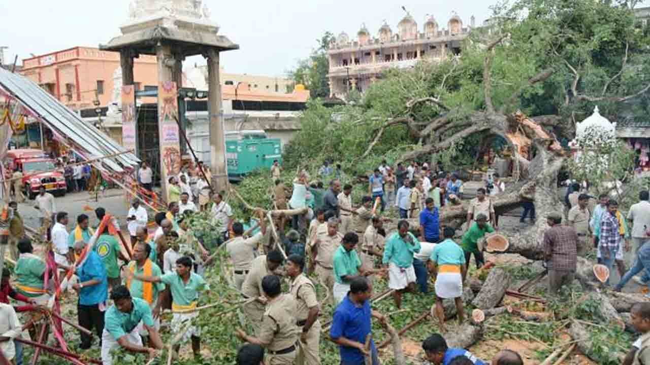 Tirupati | తిరుపతి గోవిందరాజ స్వామి ఆలయం వద్ద కూలిన చెట్టు.. భక్తుడు మృతి.. మరికొందరికి గాయాలు