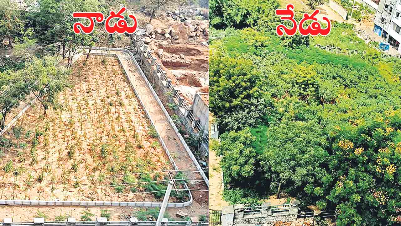 నాడు బీడు భూములు..నేడు పచ్చని అందాలు