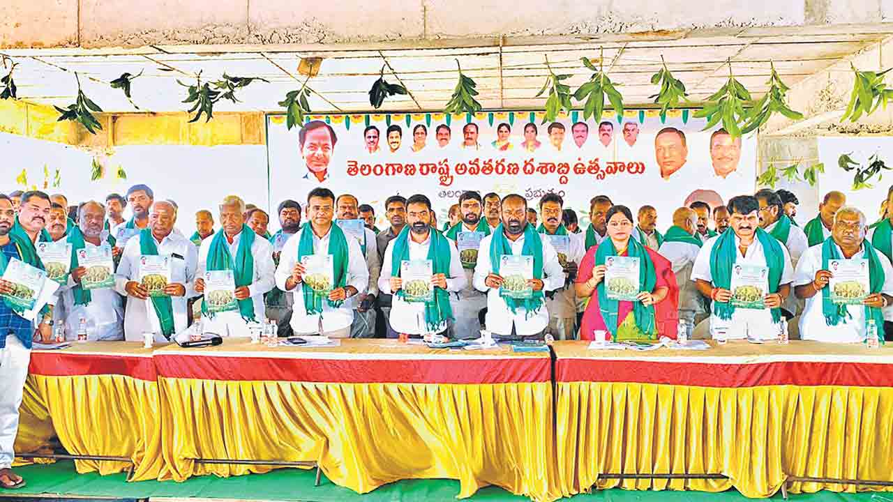 పండుగలా వ్యవసాయం