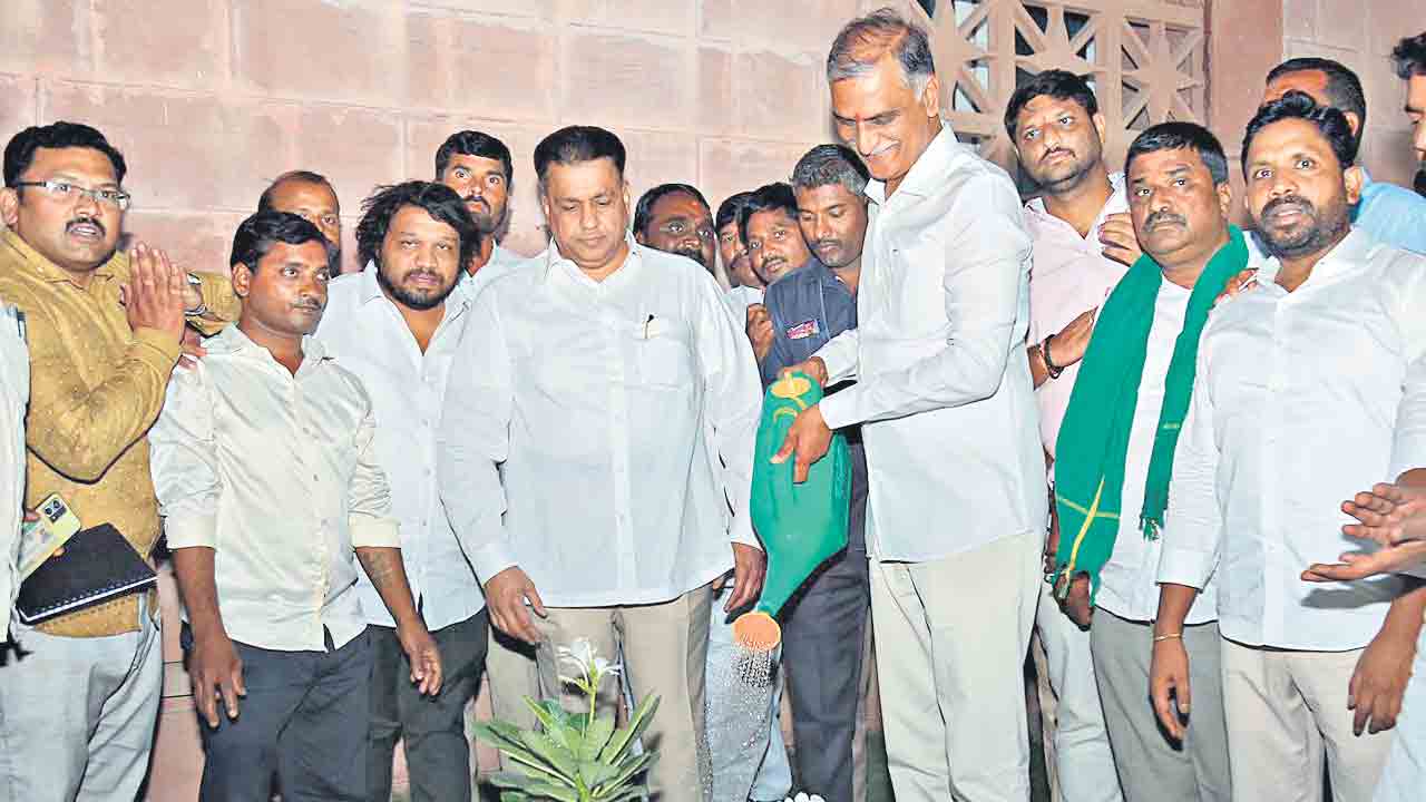 మనుగడకు మొక్కలే ప్రాణాధారం