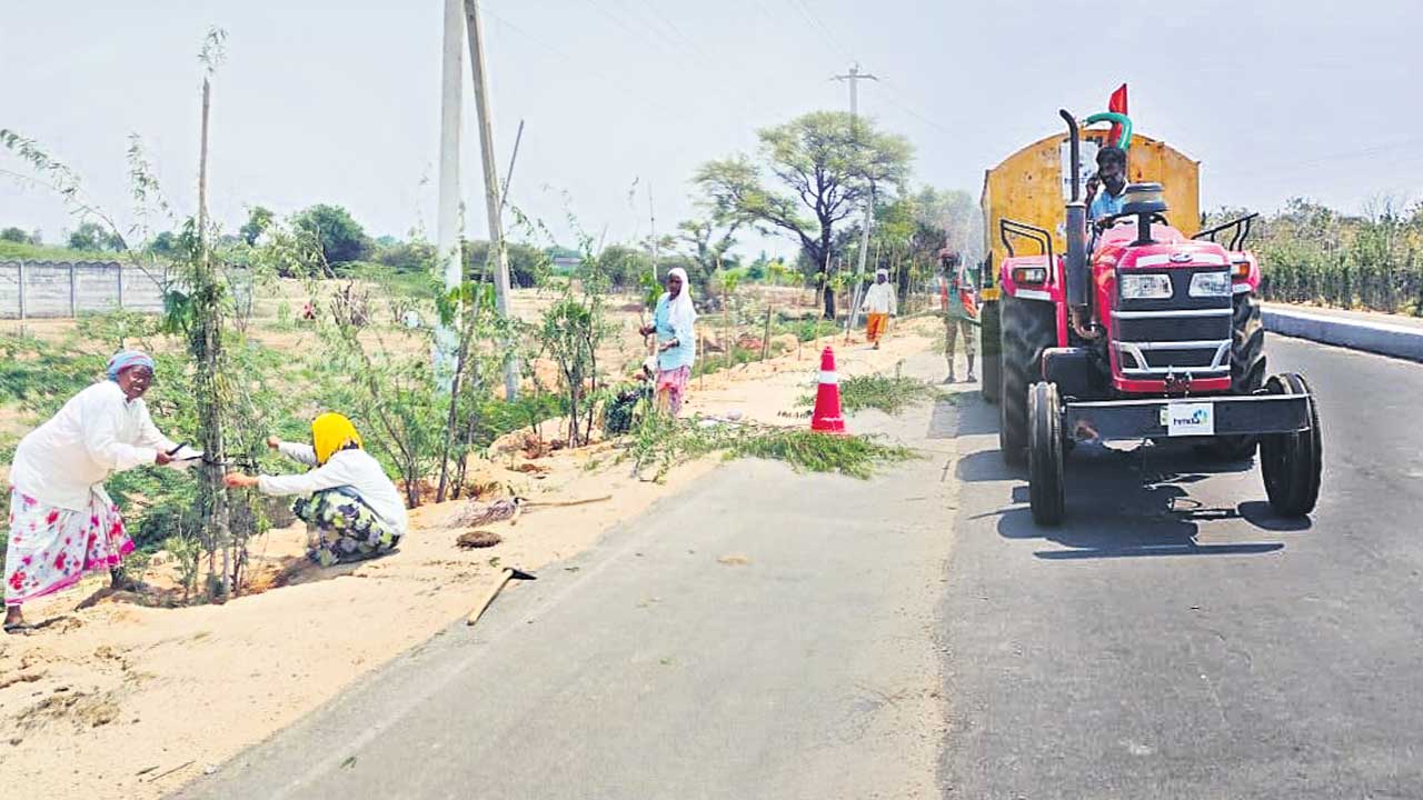 మొక్కలకు రక్షణ
