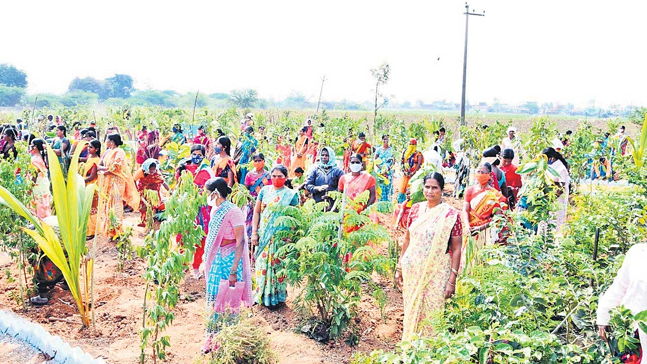 సదా.. హరితసేవలో..