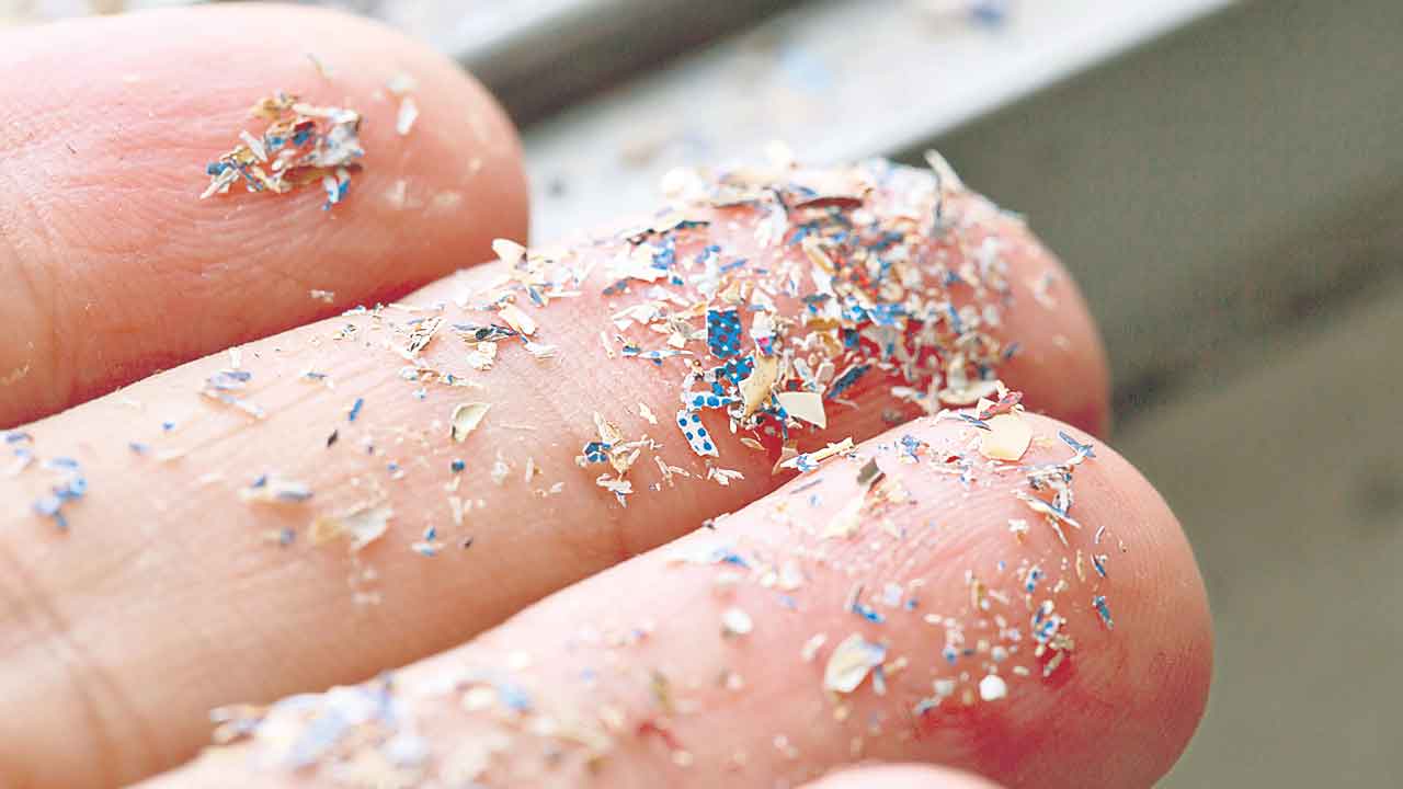 Microplastics |  వారానికో క్రెడిట్‌ కార్డ్‌ తింటున్నాం.. ప్లాస్టిక్‌తో నిండిపోతున్న మనుషుల శరీరాలు