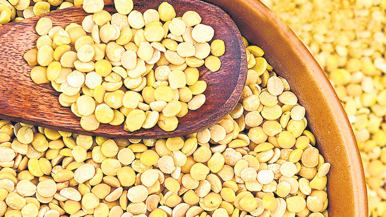 PM Modi |  ఓట్లేసి గెలిపించిన మాకు.. పప్పన్నం కూడా పెట్టలేవా మోదీ?.. దేశంలో కంది పప్పు కష్టాలు