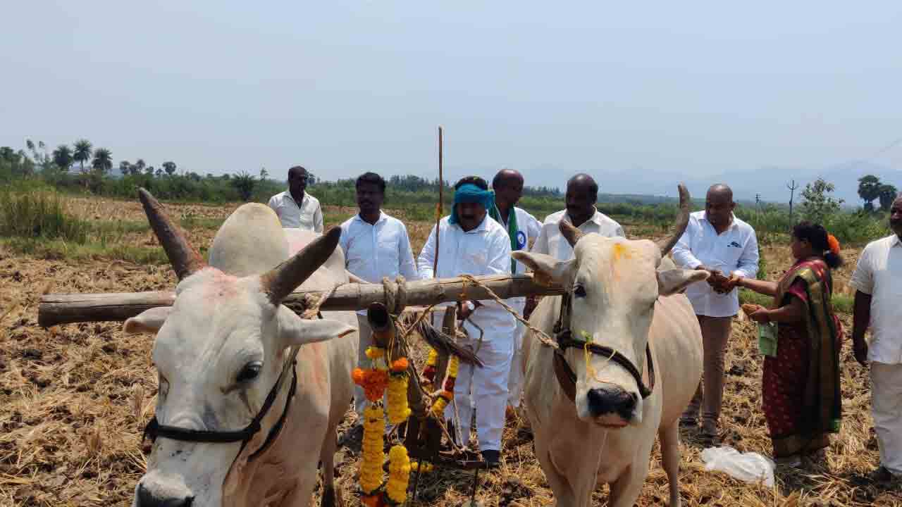 వానలు సమృద్ధిగా కురవాలి..పంటలు బాగా పండాలి..