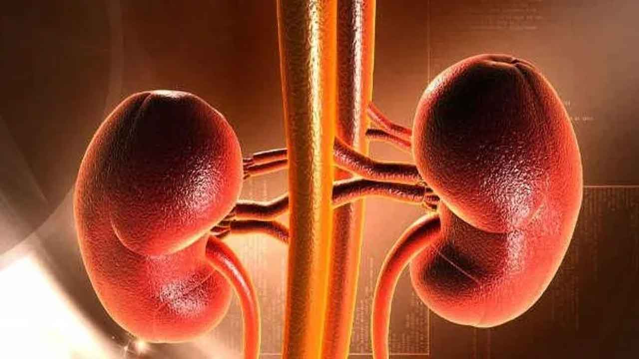 Kidney racket |  ఏలూరులో కిడ్నీ రాకెట్‌ కలకలం.. మధ్యతరగతి కుటుంబాలే టార్గెట్‌గా దందా