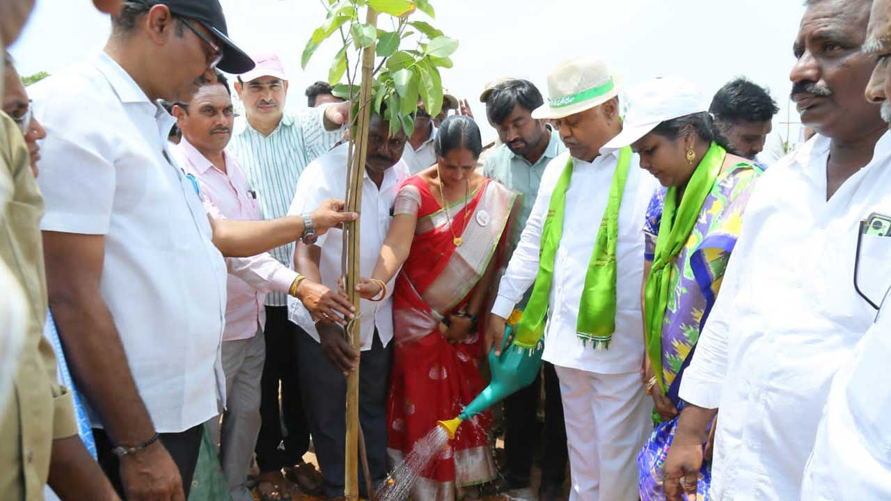 సంపూర్ణ ఆరోగ్యానికి మొక్కలే మూలం