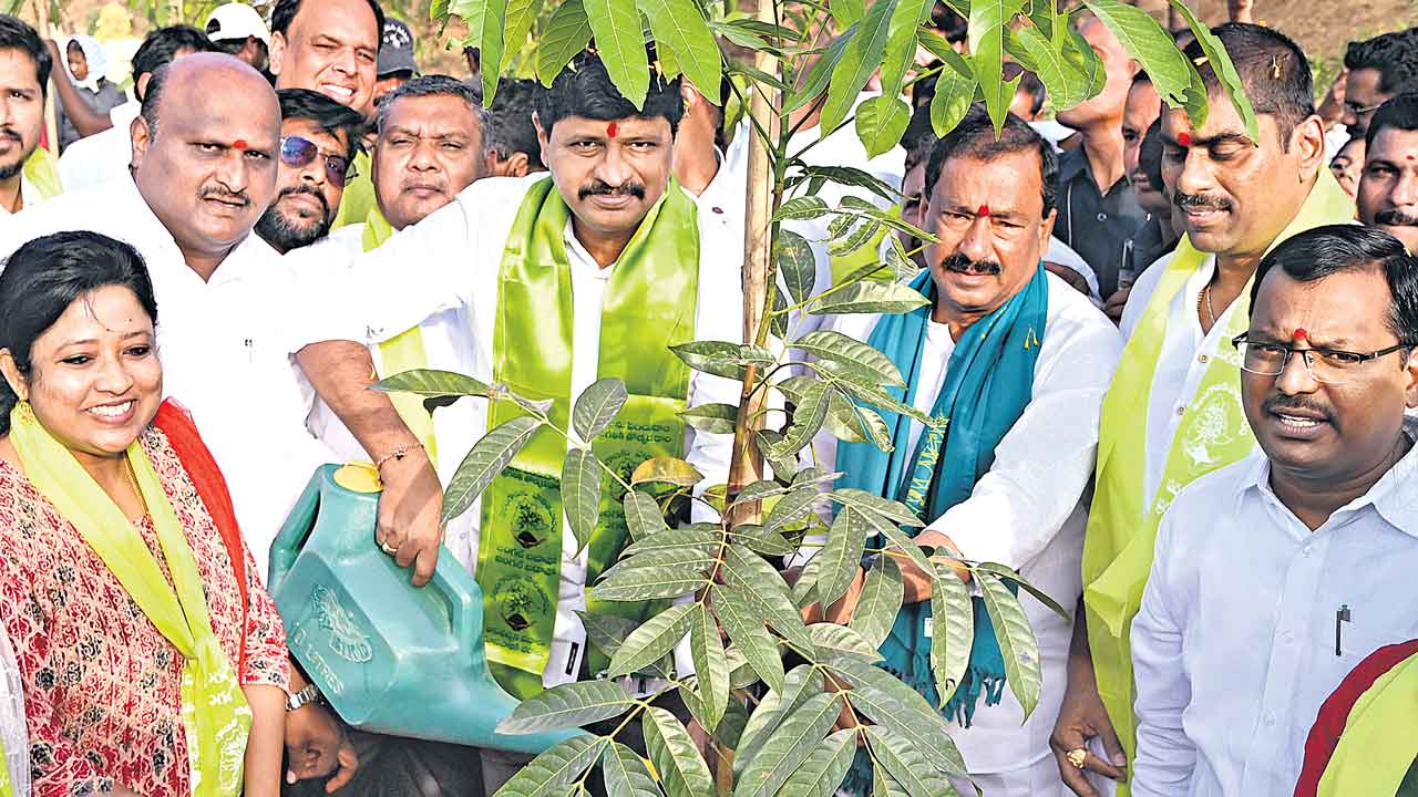 ఘనంగా హరితోత్సవం