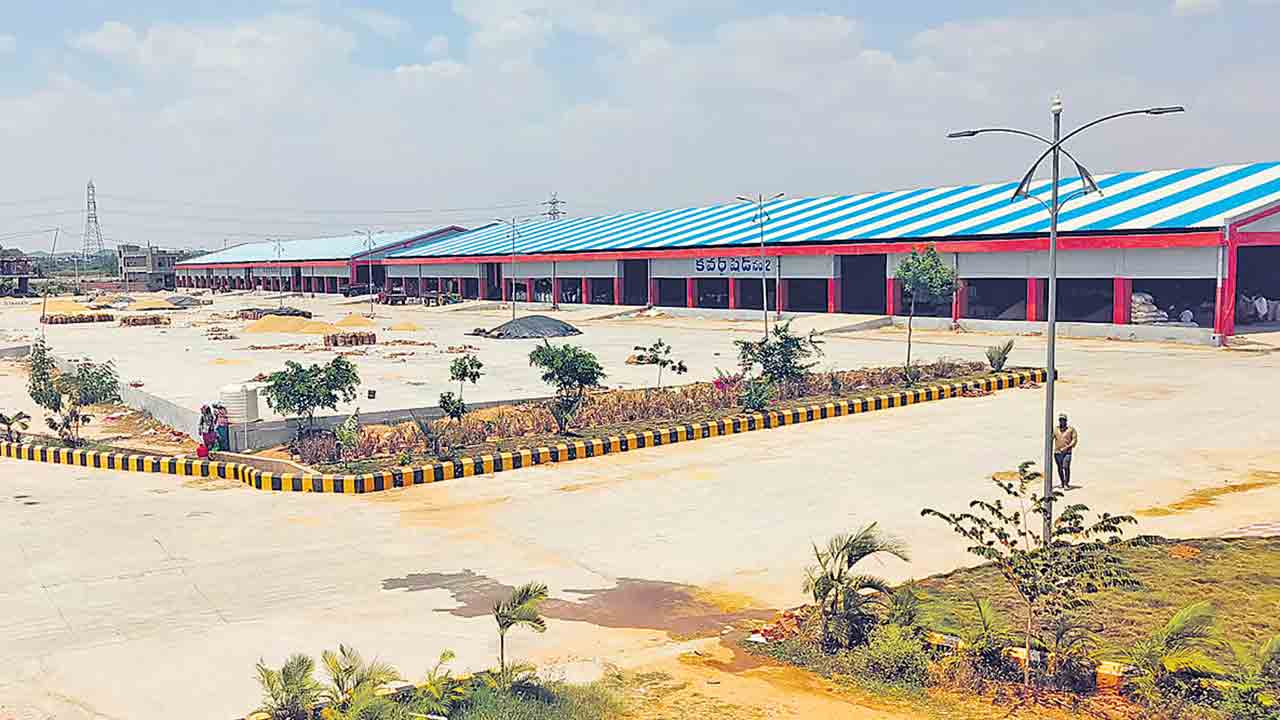 మా జన్మ.. ధాన్యం!