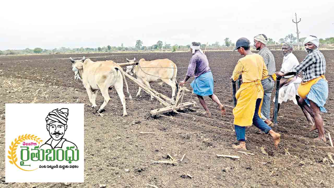 రైతుబంధువు