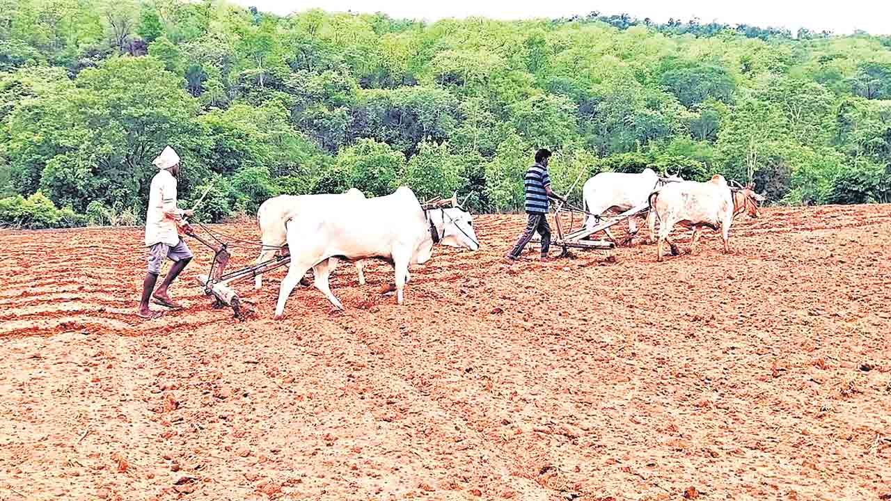 ‘భద్రాద్రి’లో 50,595 వేలమందికి లబ్ధి