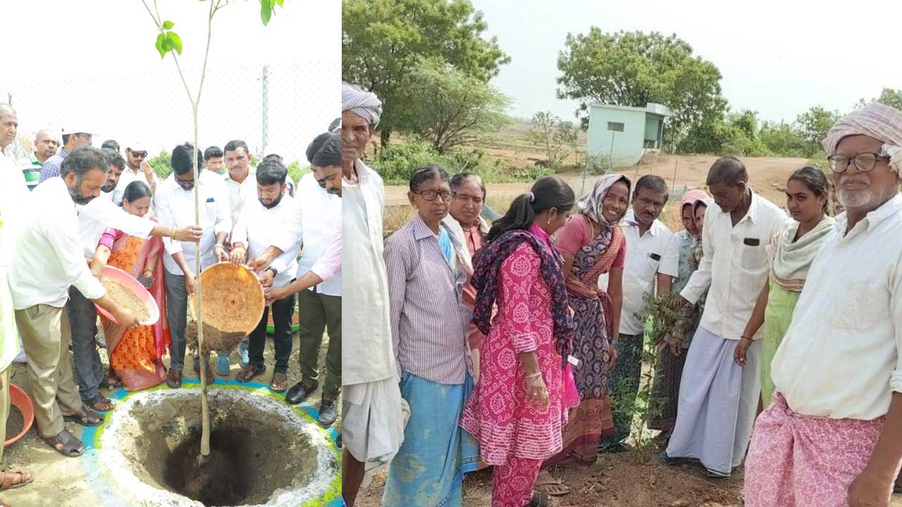 చెట్లతోనే మనిషి మనుగడ