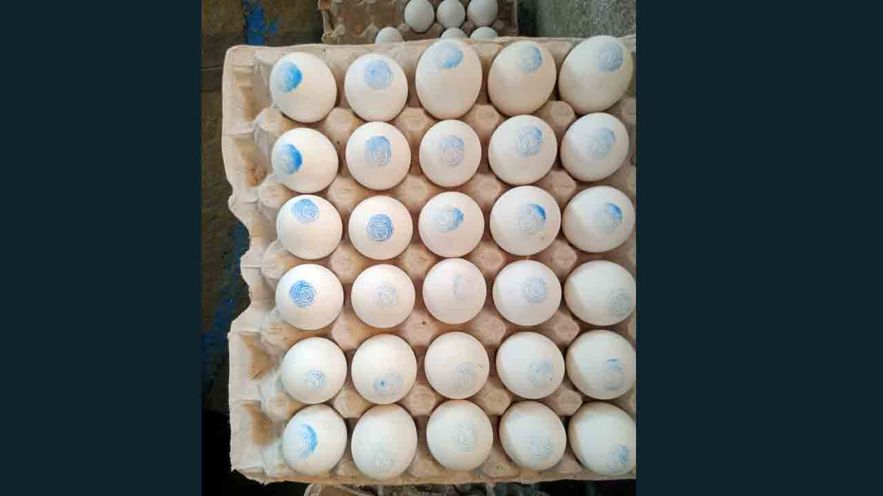 అంగన్‌వాడీ గుడ్లపై సర్కార్‌ స్టాంప్‌