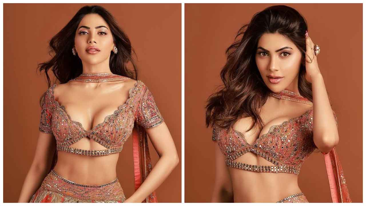 Nikki Tamboli | నిక్కి తంబోలి అందాలకు నెటిజన్లు ఫిదా..