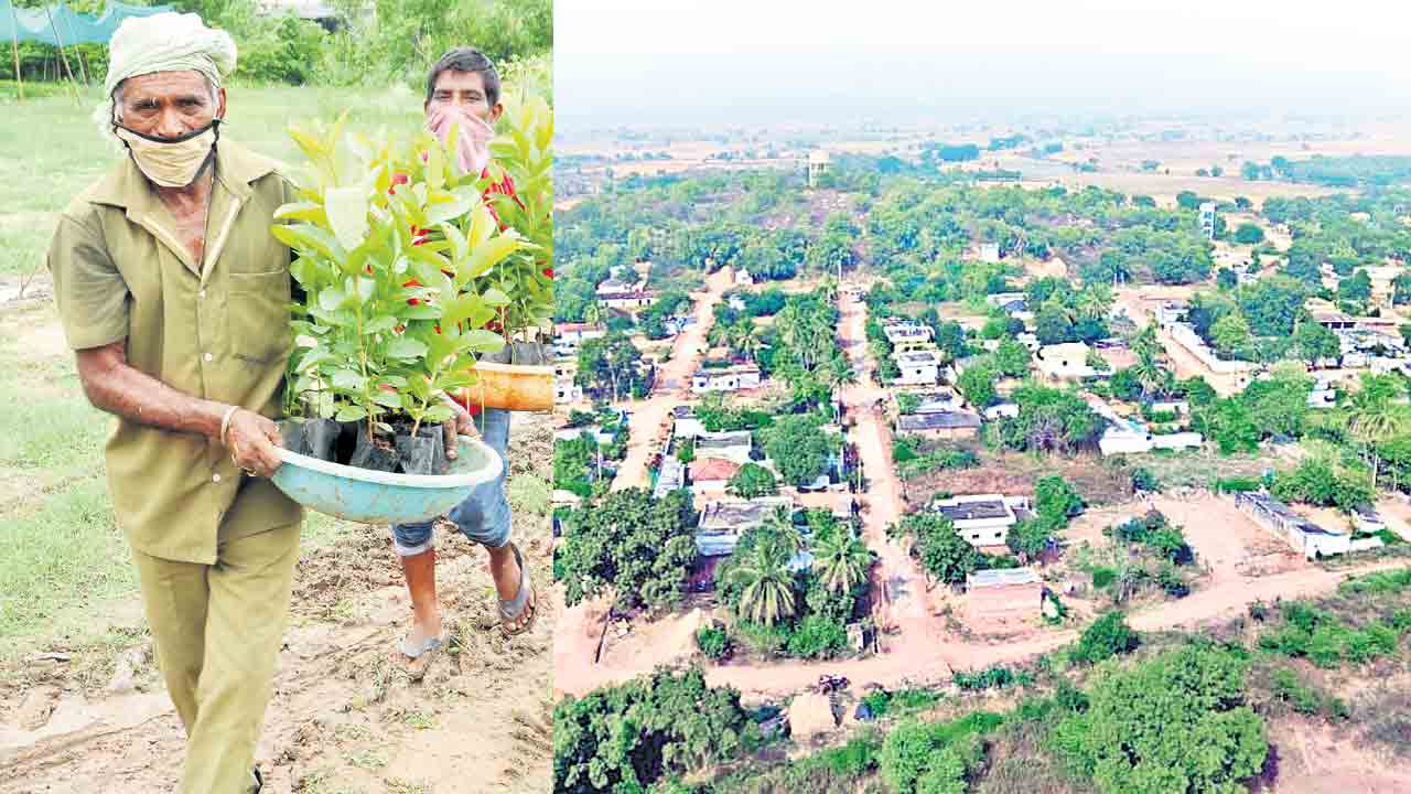 పల్లె ప్రగతి ముల్లె