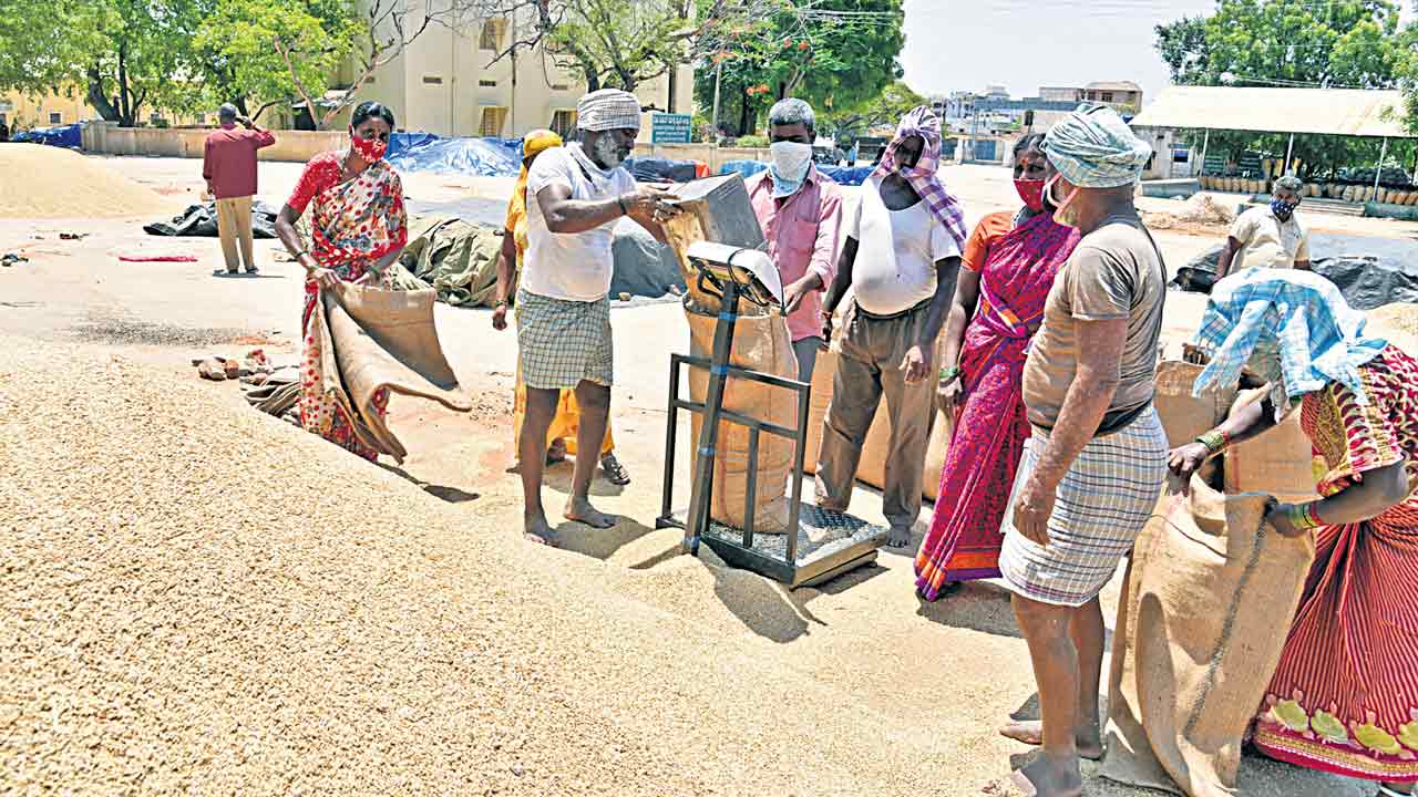 రూ.730 కోట్ల వడ్లు