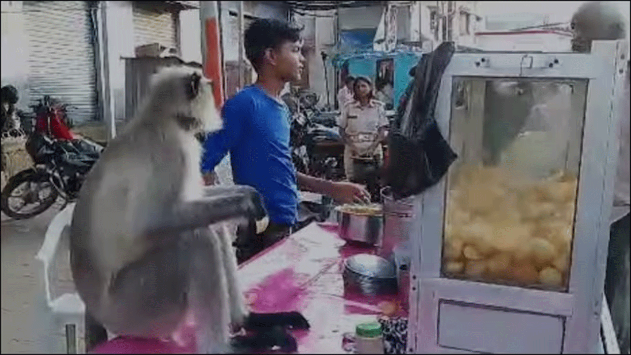 Viral Post | పానీపూరీని ఎంజాయ్ చేసిన మంకీ