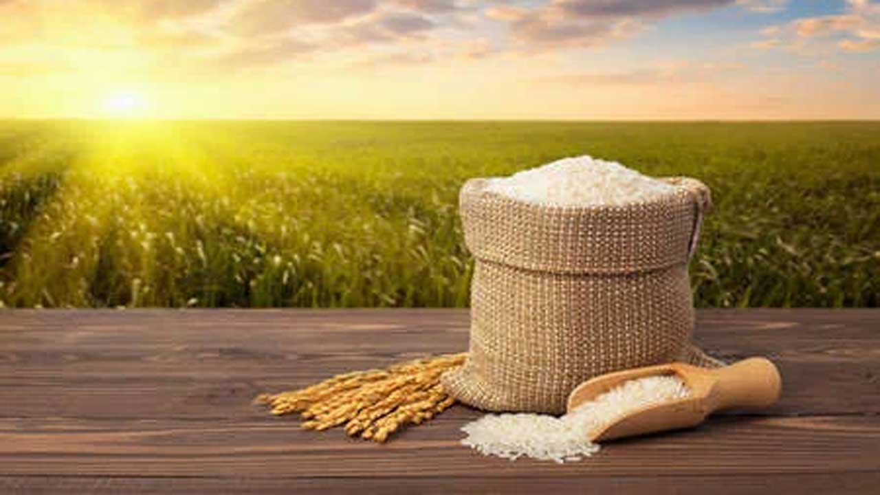 Paddy |  సన్న ధాన్యానికి మార్కెట్లో భారీ డిమాండ్‌.. రైతుల వద్దకే వచ్చి వ్యాపారుల కొనుగోలు