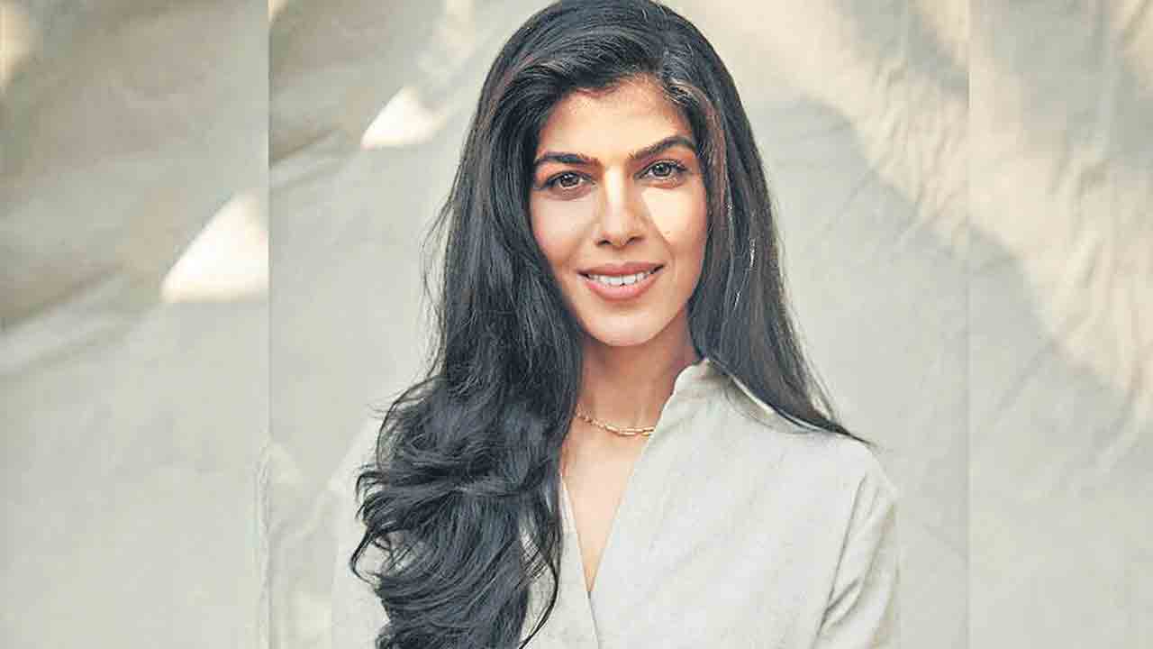 ఎంటర్‌టైన్‌మెంట్‌ లాయర్‌