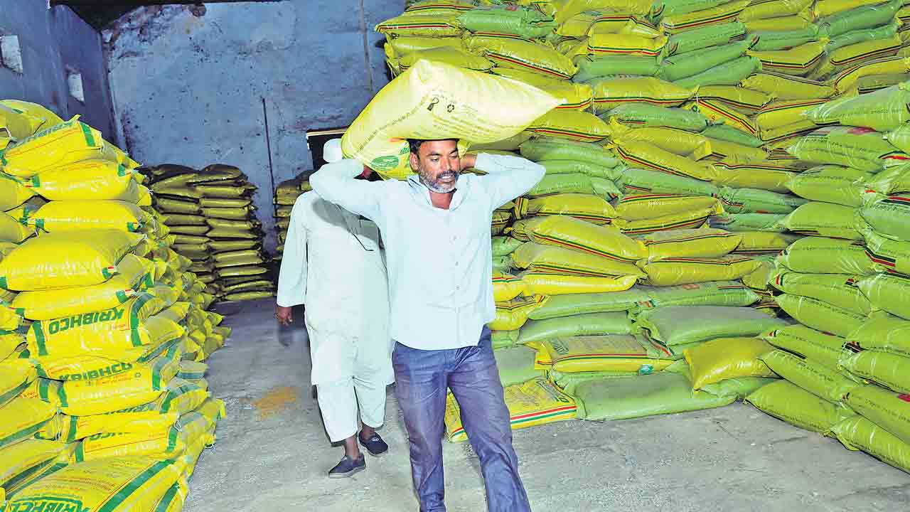 నాడు దైన్యం.. నేడు ధైర్యం..