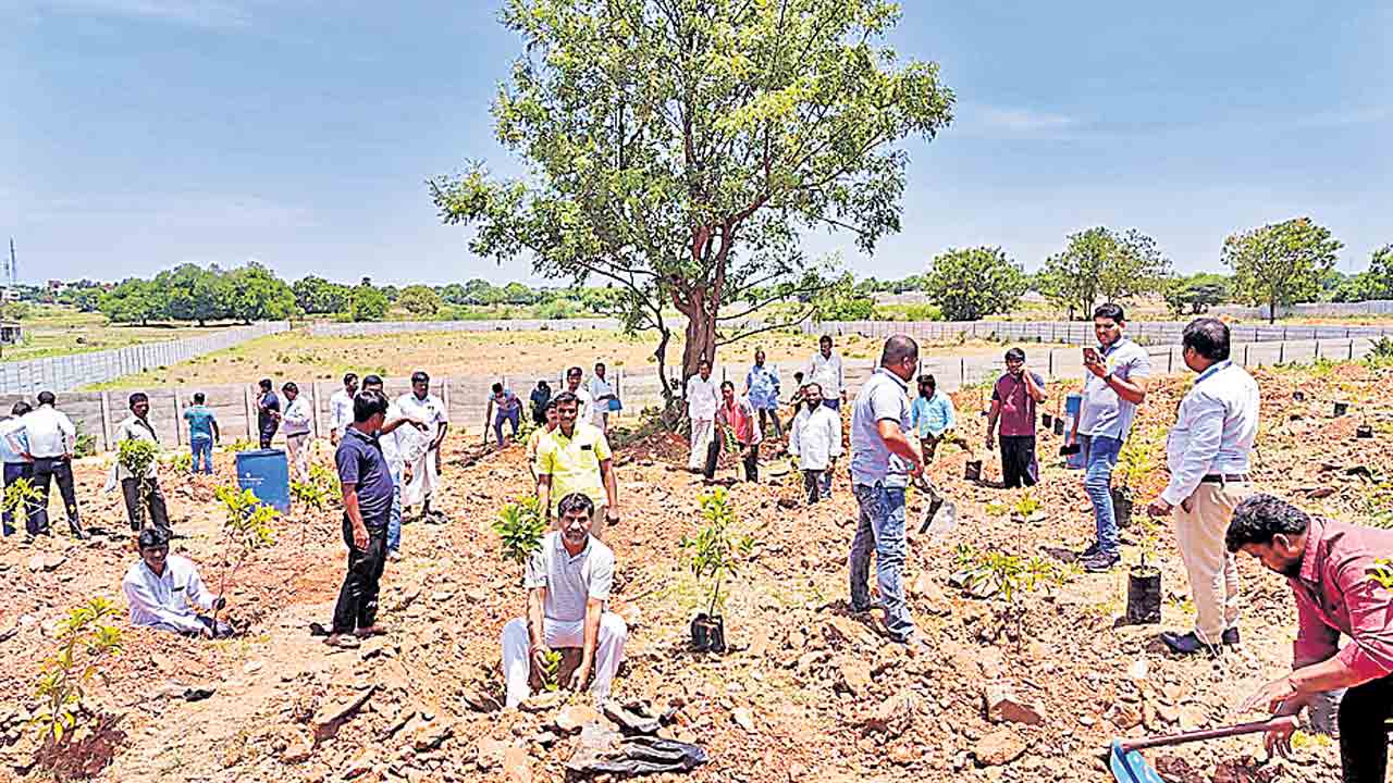 పర్యావరణ పరిరక్షణకు పాటు పడాలి
