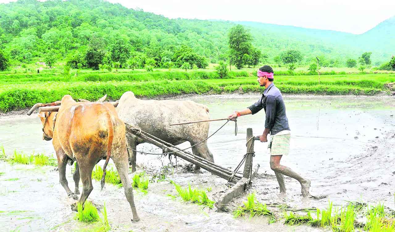 Rythu Bandhu |  26 నుంచి రైతుబంధు.. అదనుకు అందనున్న పంట పెట్టుబడి సాయం