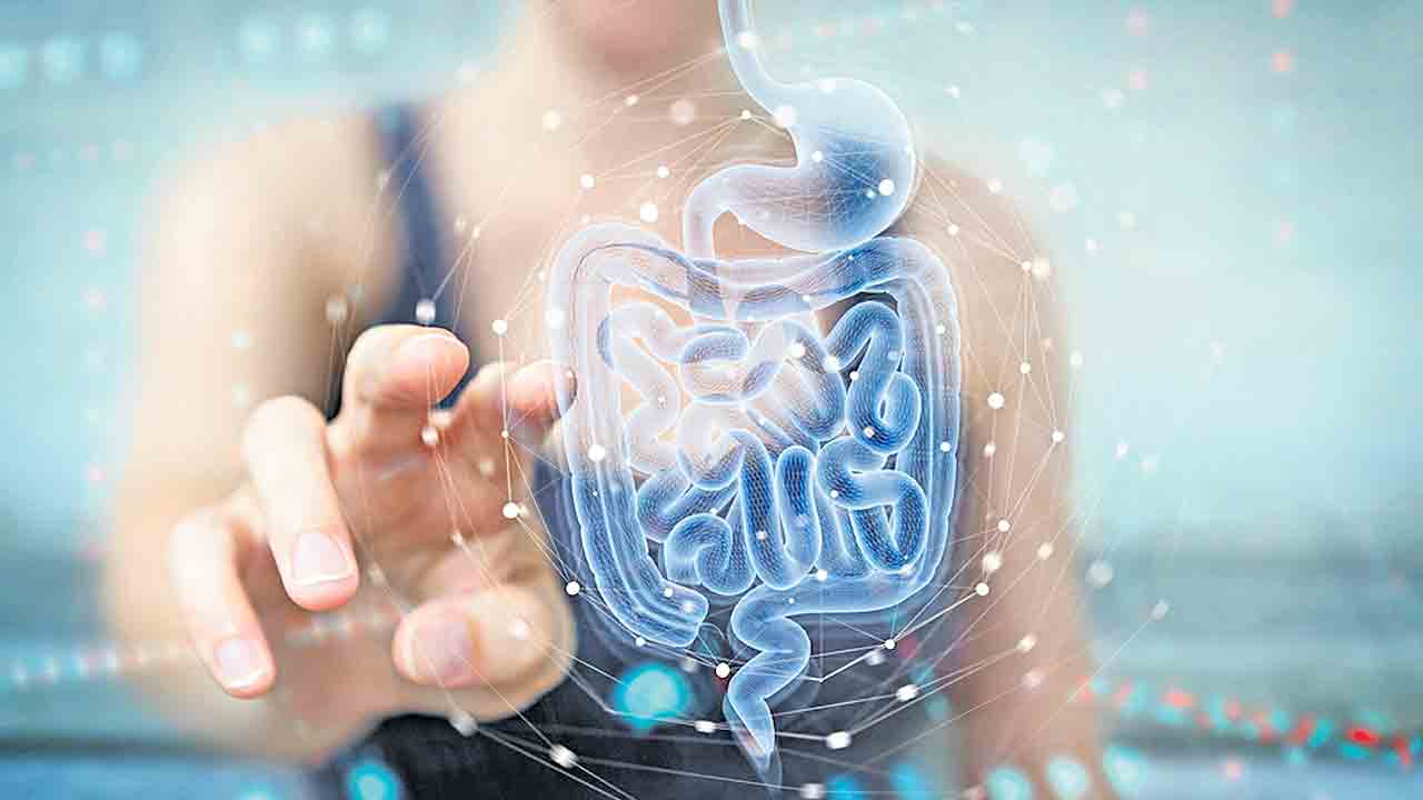 పొట్ట ఆరోగ్యం జాగ్రత్త!