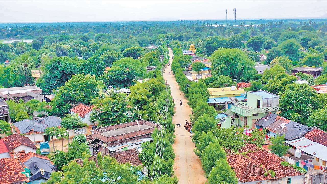 Telangana Decade Celebrations |  నేడు పల్లె ప్రగతి దినోత్సవం.. సఫాయి కార్మికులు, ఉత్తమ ప్రజాప్రతినిధులకు సన్మానం