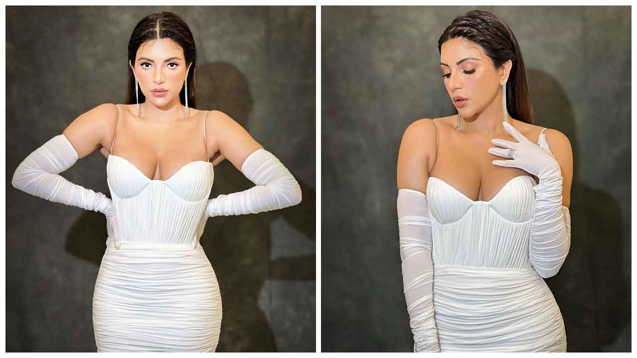 Shama Sikander | వైట్ డ్రెస్‌లో షామా సికందర్ అందాల ట్రీట్..