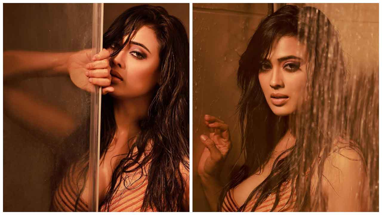 Shweta Tiwari | మత్తెక్కించే చూపులతో పిచ్చెక్కిస్తున్న శ్వేతా తివారీ..