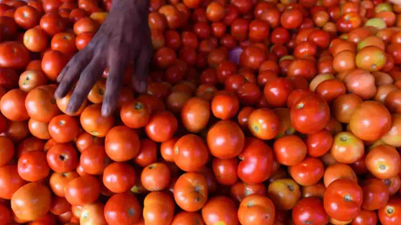 Tomato Tales | టమోటాల కొరత ఎఫెక్ట్.. కర్ణాటక రైతుకు రూ.38 లక్షల ఆదాయం !