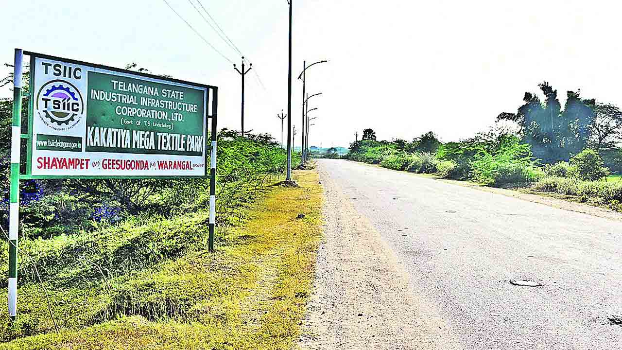 మెగాలో మరో కంపెనీ