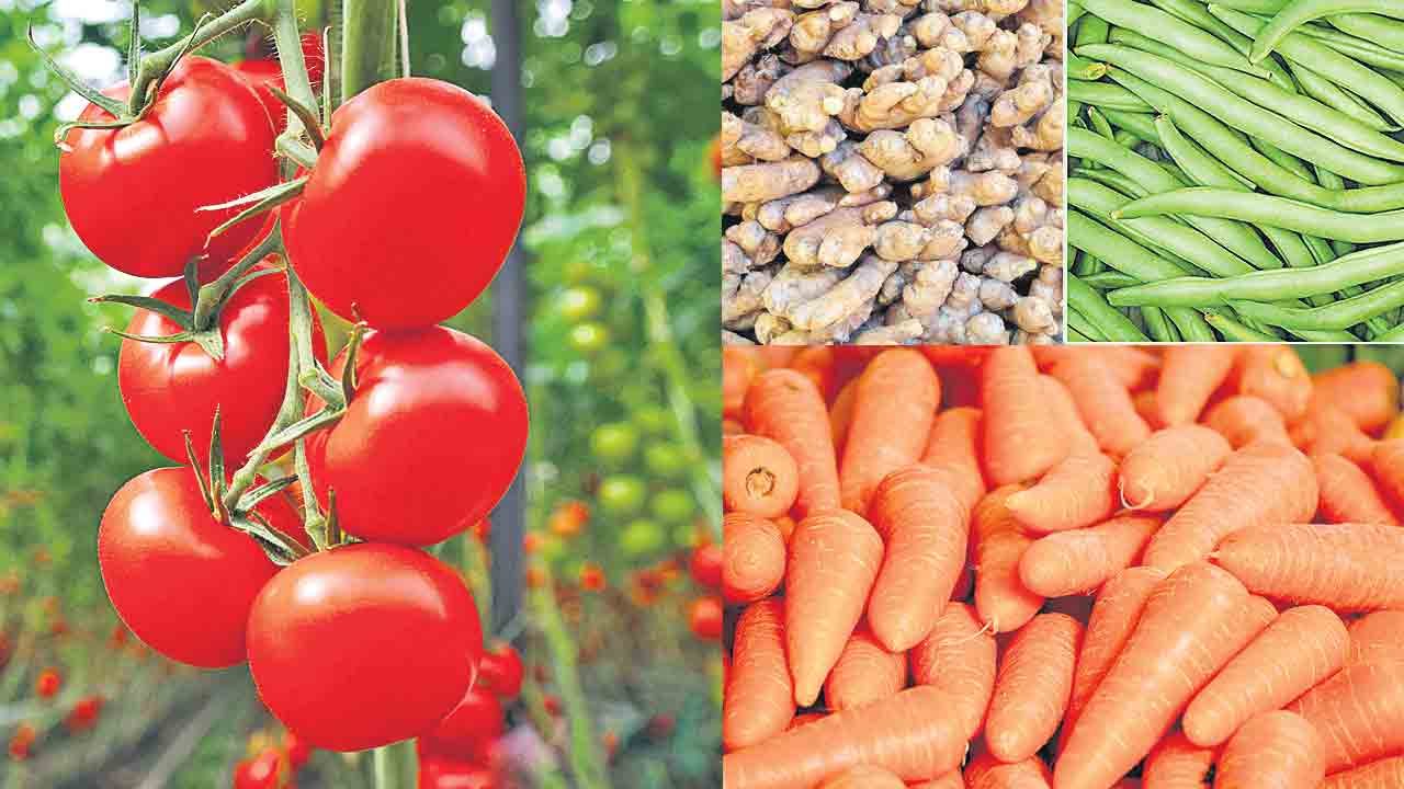 Vegetable prices |  ఉల్లిపాయలే కాదు.. టమాటాలూ కన్నీళ్లు తెప్పిస్తున్నాయ్‌.. దేశవ్యాప్తంగా మండుతున్న కూరగాయల ధరలు
