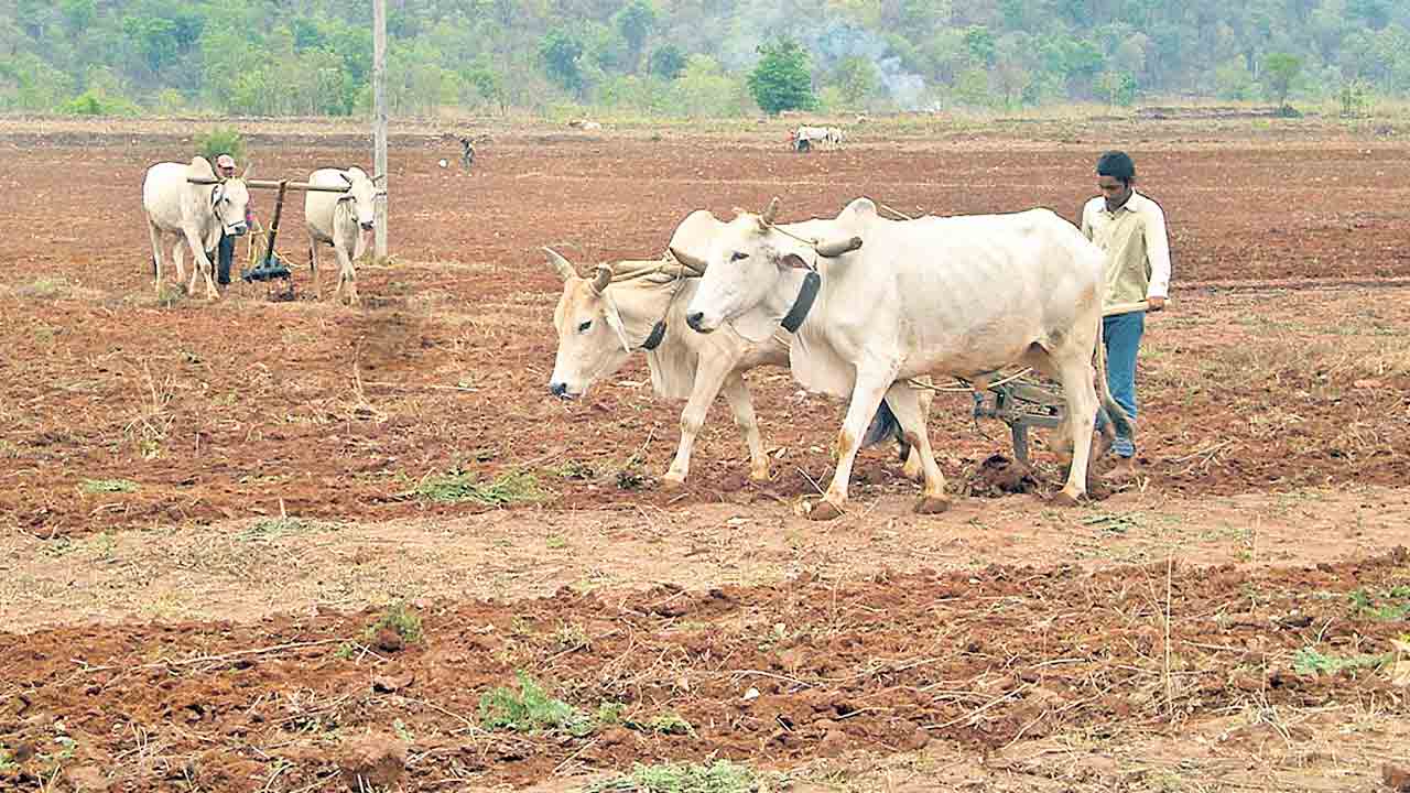 గిరిజనులకు స్వర్ణయుగం