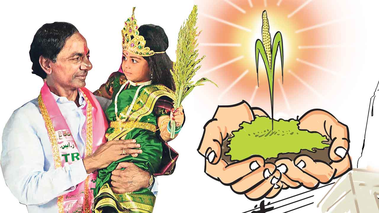 విత్తన భాండాగారం…