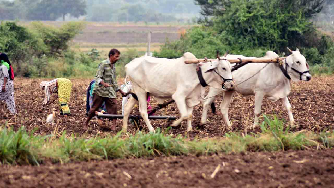 పెట్టుబడి రంది తీరింది