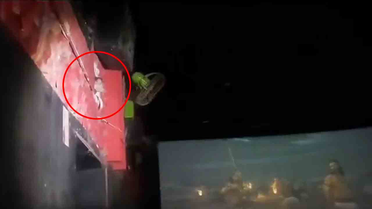 Adipurush movie | ఆదిపురుష్ సినిమా చూసిన వానరం..  వీడియో వైరల్