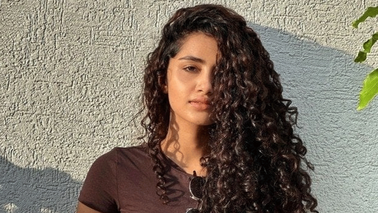 Anupama Parameswaran | అనుపమ హీరోయిన్ టైప్ కాదు.. నెటిజన్ కు అదిరిపోయే కౌంటర్ ఇచ్చిన ప్రేమమ్ బ్యూటీ