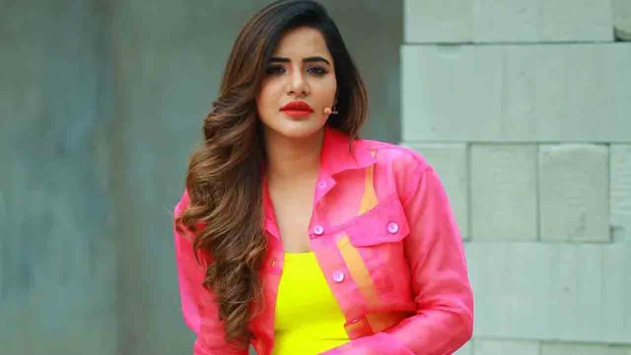 Drugs Case | డ్రగ్స్‌ కేసులో అషురెడ్డి.. బిగ్‌బాస్‌ బ్యూటీతో వందలాది కాల్స్‌ మాట్లాడిన కేపీ చౌదరి ?