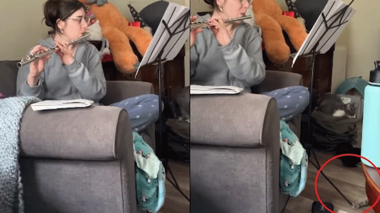 Viral Video | మ‌హిళ ఫ్లూట్ ప్లే చేస్తుంటే పిల్లి ఏం చేసిందంటే..!