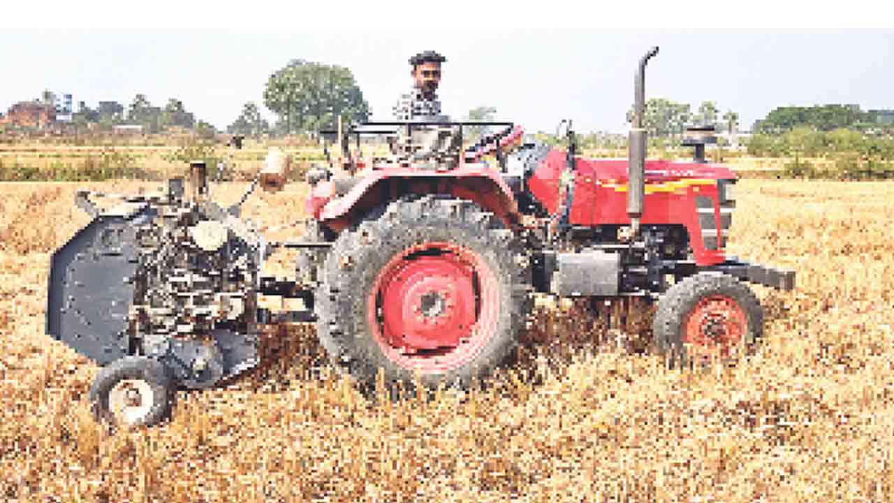 పశుగ్రాసం వృథాకు చెక్‌