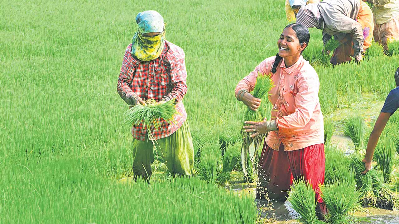 తొలి చినుకు