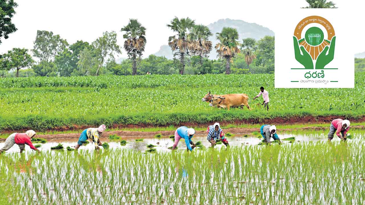 దారుణాలకు ధరణితో చెక్.. ఏండ్లుగా పెండింగ్లో ఉన్న భూసమస్యలకు పరిష్కారం