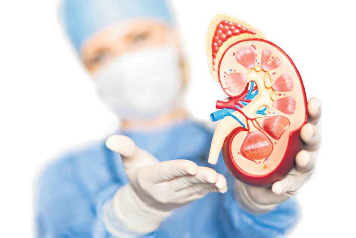 Doctor Holding Plastic Kdin