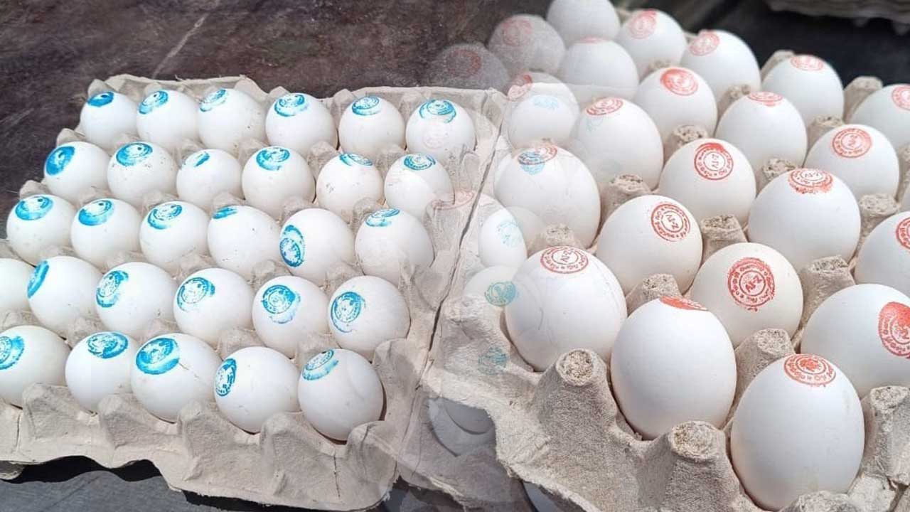 గుడ్డుకు గుర్తు