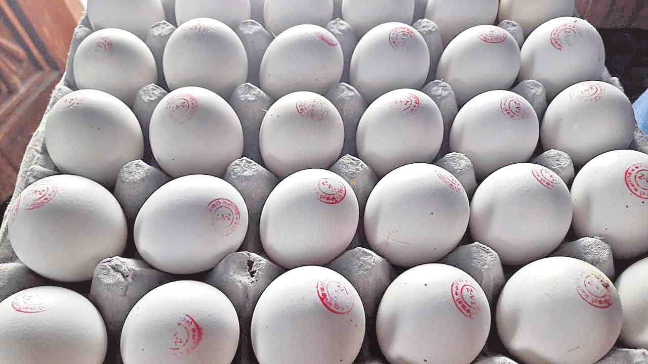 గుడ్డు ఐడియా