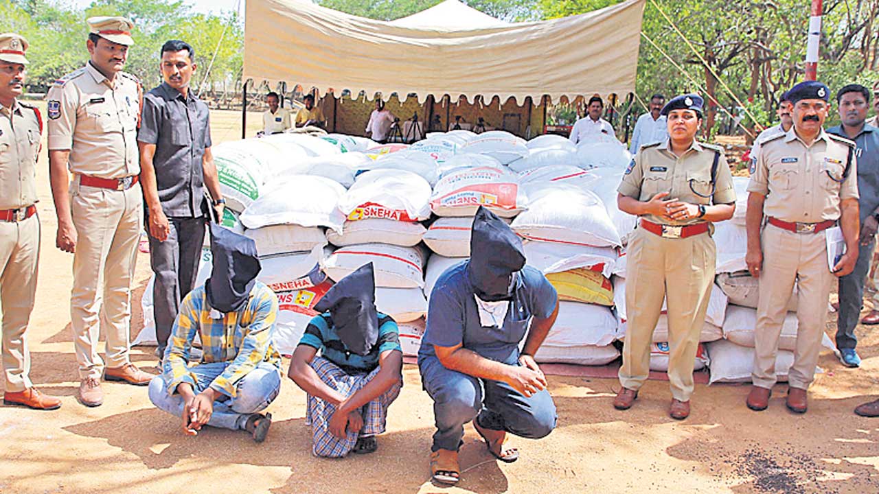 నకిలీ పత్తి విత్తనాల ముఠా అరెస్ట్‌